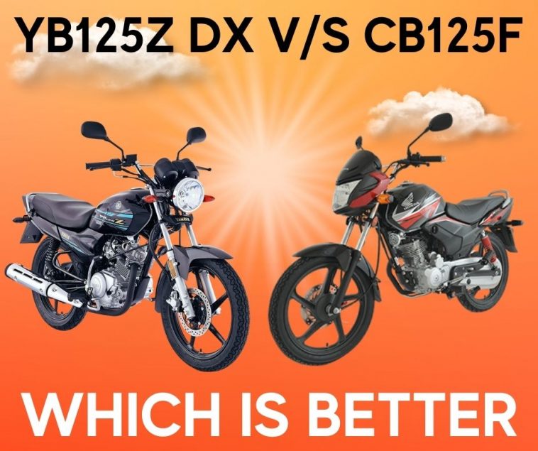which is better buy?