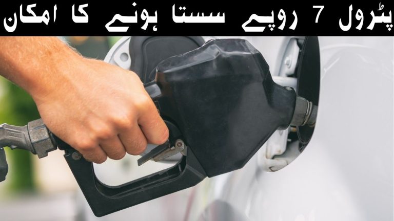 Petrol Prices May Decrease By 7 Rupees Per Litre
